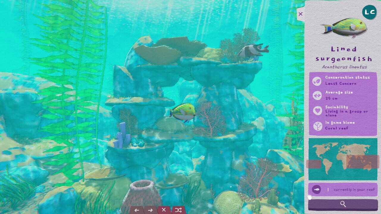 Turquoise screenshot