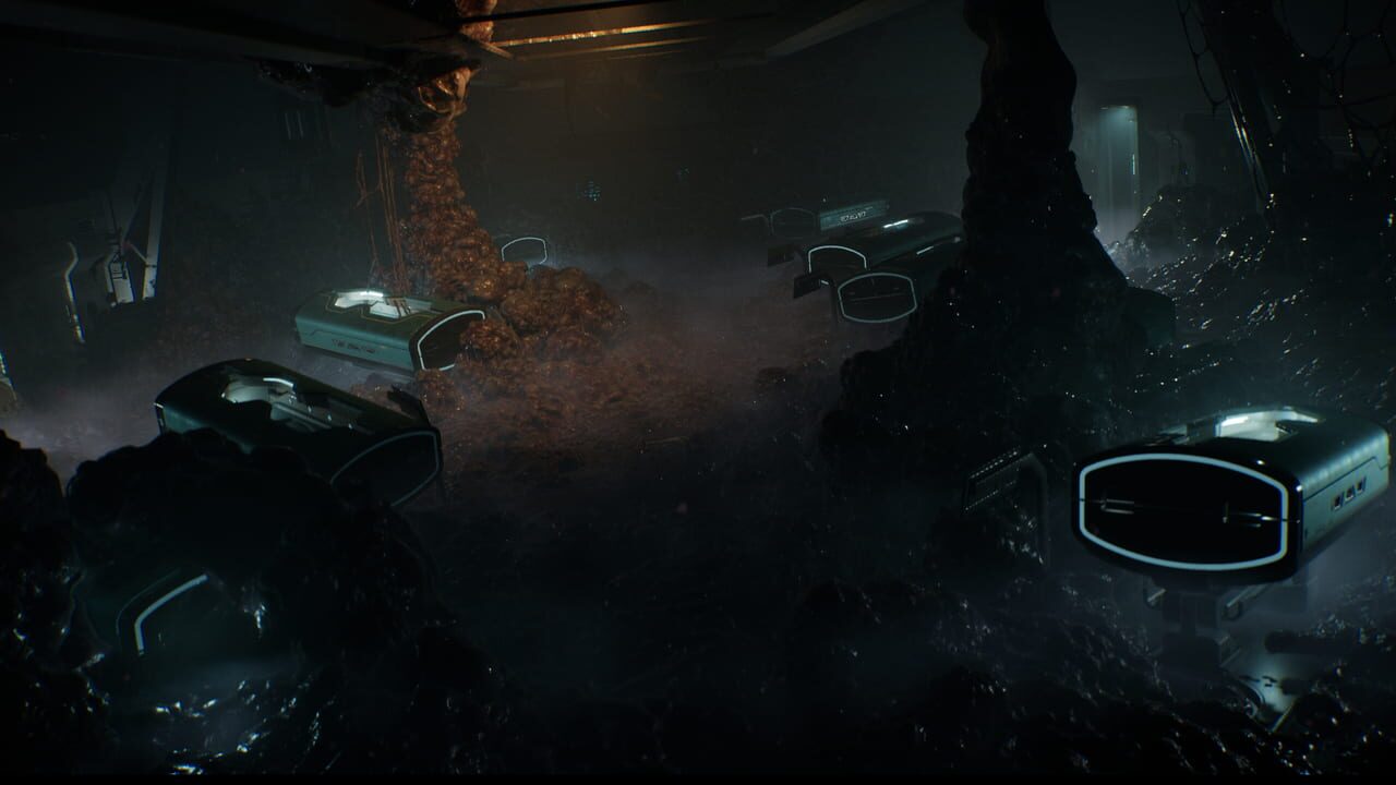 Directive 8020 screenshot