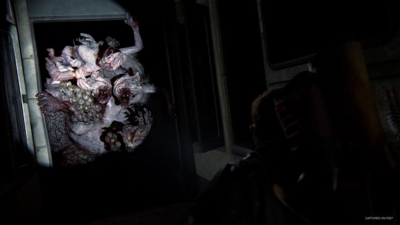 The Last of Us Part II Remastered screenshot