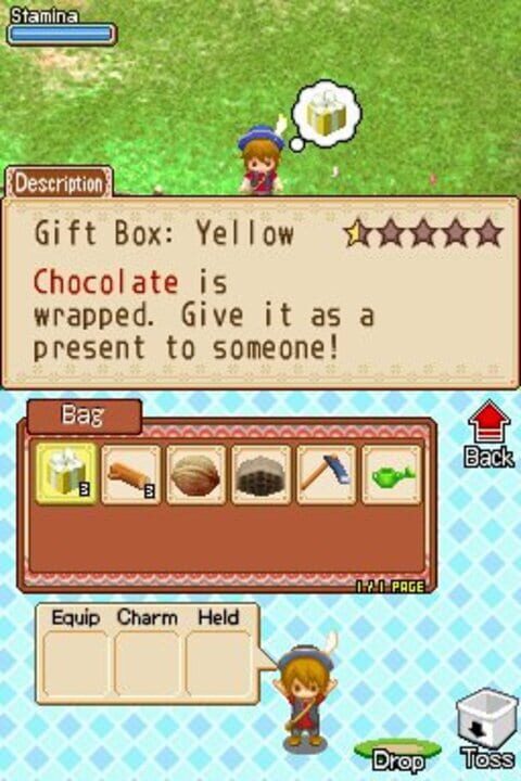 Harvest Moon DS: Grand Bazaar screenshot
