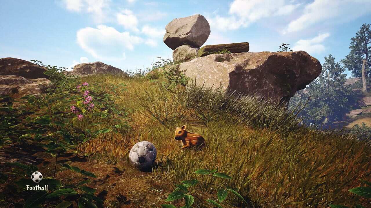 Adorable Adventures screenshot