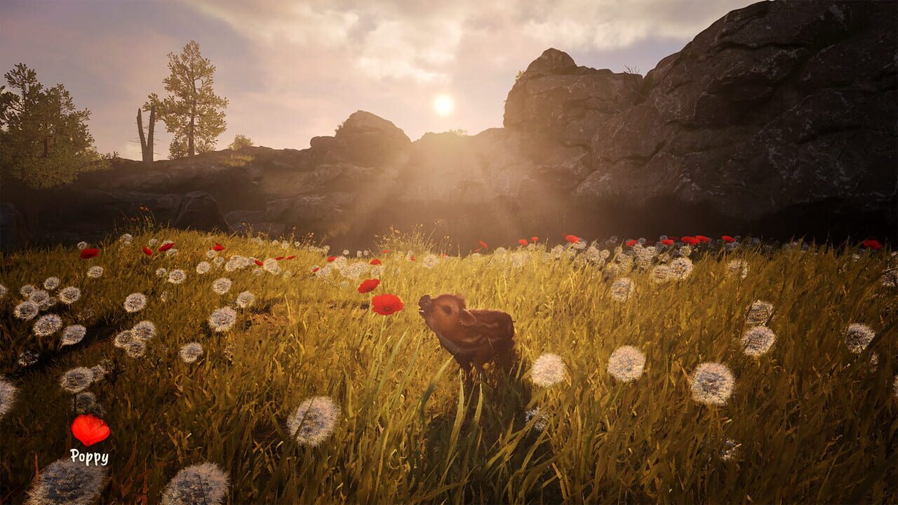 Adorable Adventures screenshot