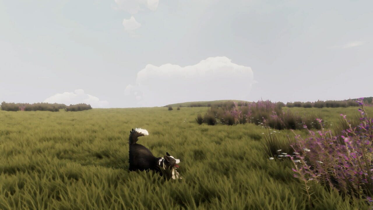 The Free Shepherd screenshot