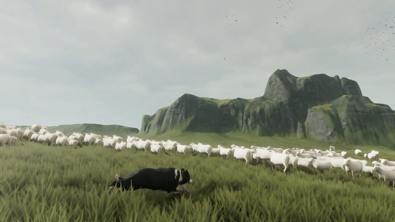 The Free Shepherd screenshot